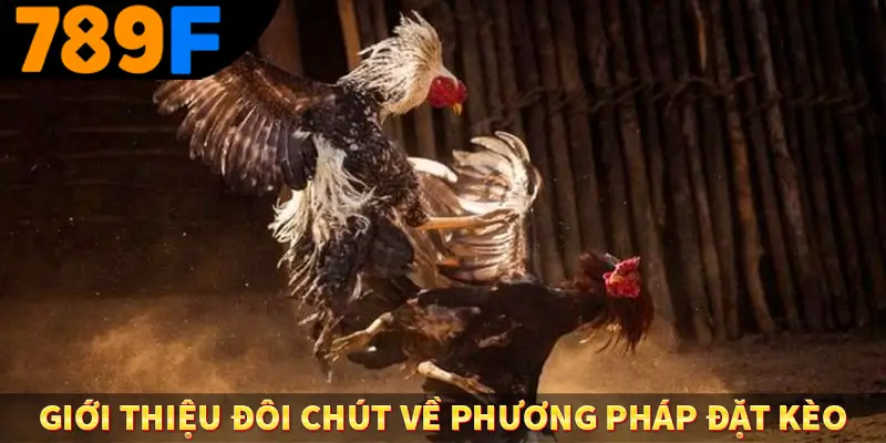 Giới thiệu đôi chút về phương pháp đặt kèo
