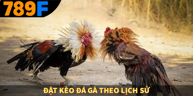 Đặt kèo đá gà theo lịch sử