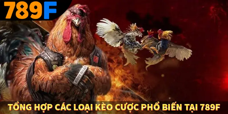Tổng hợp các loại kèo cược phổ biến tại 789F