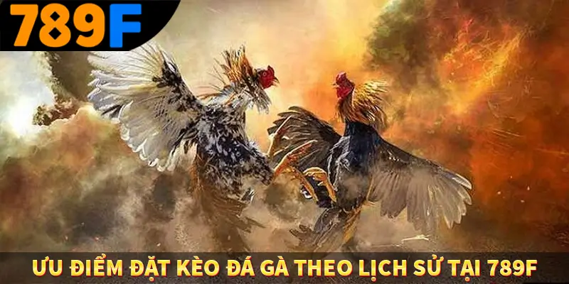 Ưu điểm đặt kèo đá gà theo lịch sử tại 789F