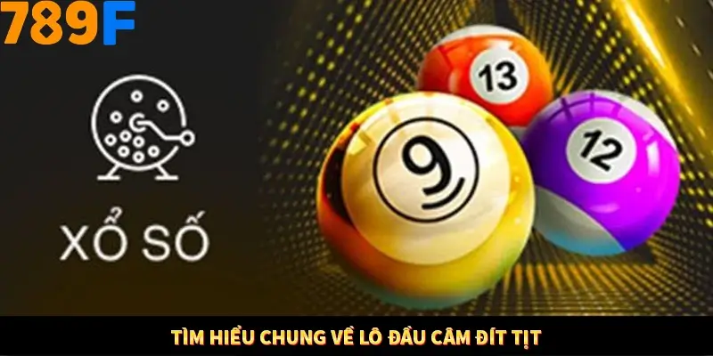 Tìm hiểu chung về lô đầu câm đít tịt