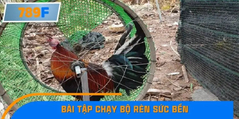 Bài tập chạy bộ rèn sức bền Bài tập chạy bộ rèn sức bền