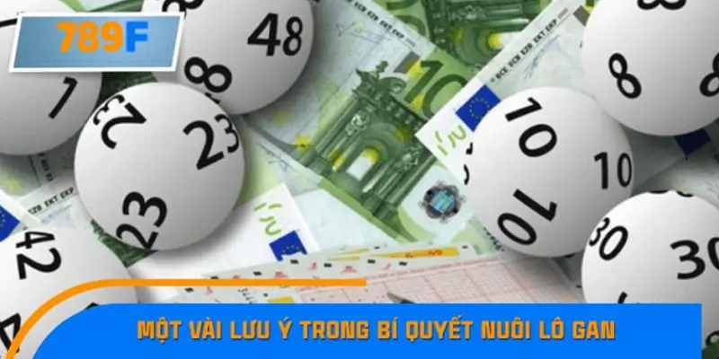 Cược thủ nên lưu ý những gì khi thực hiện phương pháp nuôi lô gan?